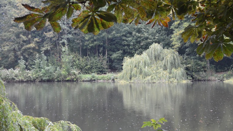 Der Salzteich in Bad Oldesloe. © NDR Foto: Anne Passow