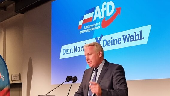 Spitzenkandidat der AFD Jörg Nobis spricht bei dem Wahlkampfendspurt in Lübeck © NDR Foto: Julian Marxen