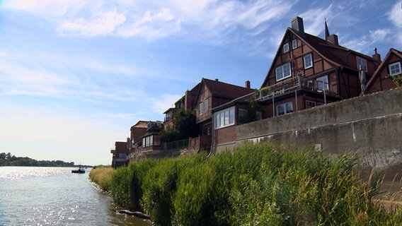Mehrere Häuser stehen am Ufer der Elbe in Lauenburg bei strahlender Sonne. © NDR 