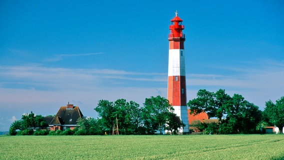 Leuchtturm in Flügge auf Fehmarn © picture alliance Foto: R. Kiedrowski