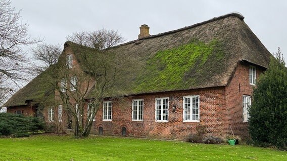 Ein großes Reetdachhaus steht auf einer grünen Wiese. © NDR Foto: Jochen Dominicus