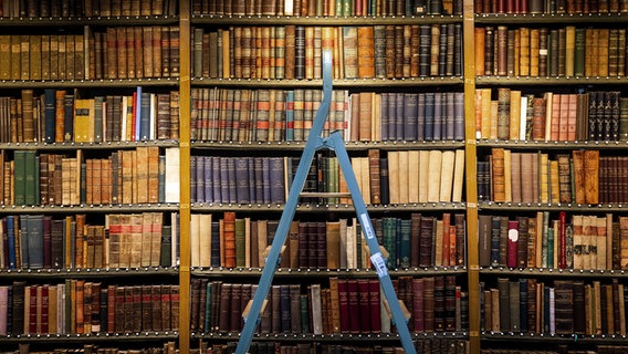 Ein Bücherregal in einer Bibliothek, davor eine Leiter. © picture alliance / ANP | Ramon van Flymen 