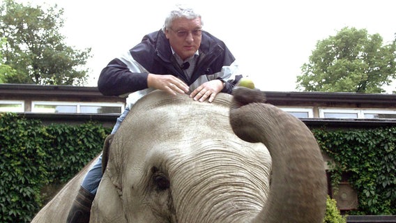 Moderator Hans Meiser reitet im Tierpark Hagenbeck auf einem Elefanten. © picture alliance Foto: RTL