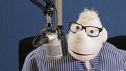 Die Handpuppe Werner Momsen sitzt vor einem Mikrofon. © NDR 