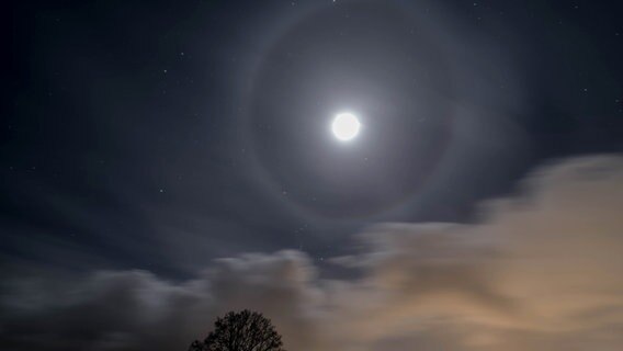 Ein Mondhalo leuchtet am Nachthimmel in Neumünster. © Kornelia Tödt Foto: Kornelia Tödt