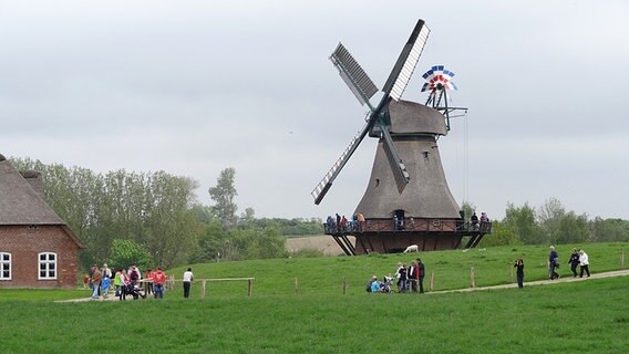 Eine Holländer-Mühle in Molfsee. © NDR Foto: Sebastian Baak
