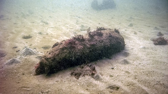 Eine Bombe schlummert auf dem Meeresboden. © PIZ Marine 