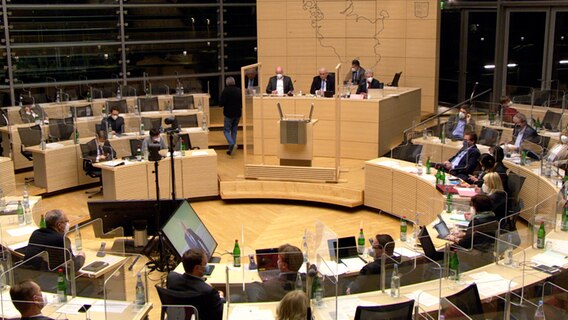 Jörg Nobis (AfD) am Pult im Plenarsaal des Landeshauses in Kiel. © NDR 