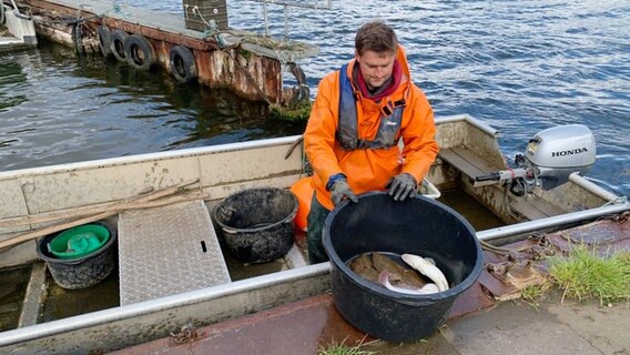 Fischer Thomas Philipson bei seiner Arbeit auf dem Nord-Ostsee-Kanal. © NDR Foto: Christian Wolf