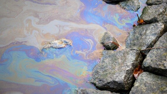 Ein Ölfilm hat sich auf der Wasseroberfläche des Nord-Ostsee-Kanals gebildet. © dpa-Bildfunk Foto: Jonas Walzberg
