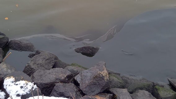 An einer Böschung ist ein Ölteppich an der Wasseroberfläche des NOK zu sehen. An einer Böschung ist ein Ölteppich an der Wasseroberfläche des NOK zu sehen. © Privat Foto: Privat