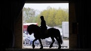 Eine Reiterin reitet auf einem Pferd in der Abreitehalle auf der Messe "Nordpferd" in den Holstenhallen © picture alliance/dpa Foto: Marcus Brandt
