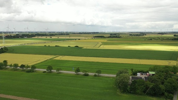 Felder und Wiesen bei Northvolt. © NDR 