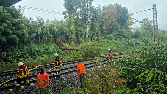 Ein umgestürzter Baum liegt auf einer Bahnstrecke. © Bundespolizei 