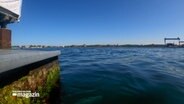 Ein Blick auf die Kieler Förde. © NDR 