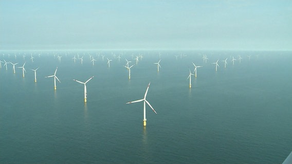 Offshore-Windenergie. © NDR 