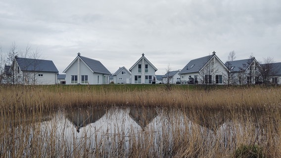 Mehrere Häuser stehen hinter einem Gewässer mit Schilf. © NDR Foto: Peer-Axel Kroeske