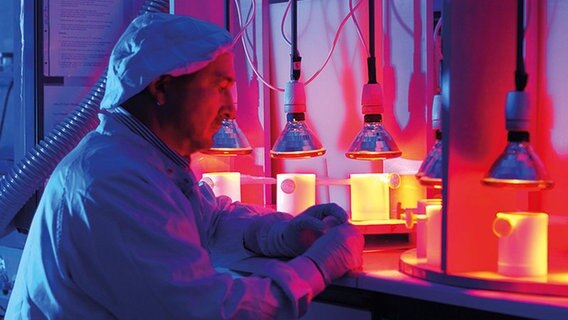 Anton Eisenhauer untersucht Proben in einem Labor des Helmholtz Zentrums. © Geomar 