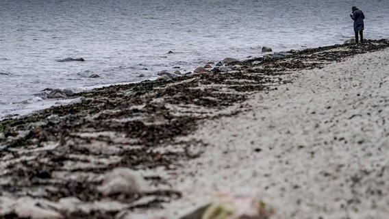Eine Person steht im Hintergrund auf dem Strand in der Kieler Förde, der sich über das gesamte Bild von linksunten bis rechtsoben zieht. Die Stimmung ist herbstlich grau. © picture alliance/dpa Foto: Axel Heimken