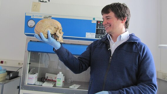 Ein Mann hält einen Schädel in der Hand. Ein Mann hält einen Schädel in der Hand. © NDR Foto: Jens Zackarias