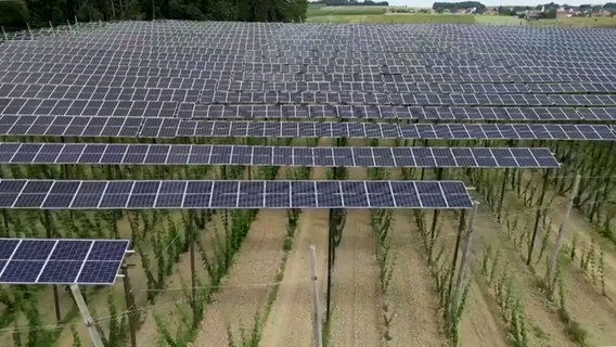 Eine Photovoltaik-Anlage. © NDR 
