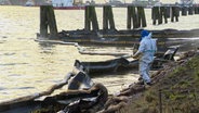 Eine Einsatzkraft steht am Ufer des Nord-Ostsee-Kanals in Brunsbüttel nach einem Pipeline-Leck. © NDR 