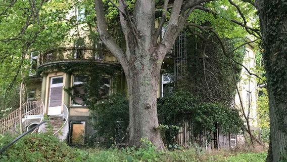 Blick auf die Osterberg-Villa, die von Bäumen und Büschen überwuchert ist. © Dietrich von Horn Foto: Dietrich von Horn