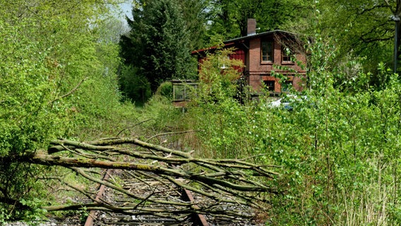 Blick auf den Blumendorfer Bahnhof, der von Büschen und Bäumen überwuchert ist. © Dietrich von Horn Foto: Dietrich von Horn