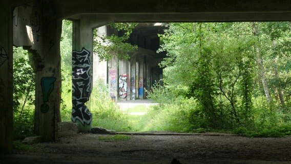 Blick auf die alte Pulverfabrik bei Geesthacht. © Dietrich von Horn Foto: Dietrich von Horn