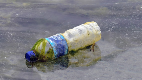 Eine Plastikflasche liegt im flachen Wasser. © imago Foto: Winfried Rothermel