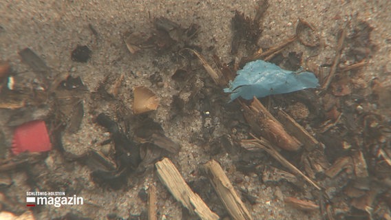Plastikverschmutzung an einem Strand. © NDR 