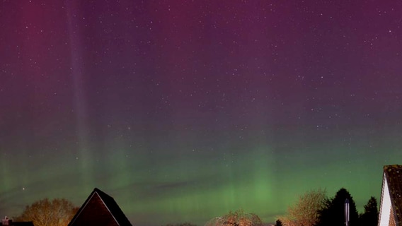 Polarlichter über den Dächern Husums. Es ist ein farbspiel aus Lila und Grün. © Thomas Niedorf Foto: Thomas Niedorf