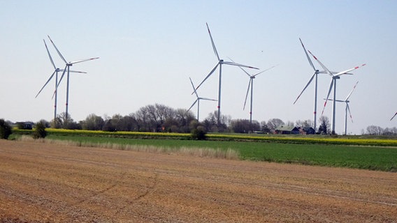 Mehrere Windkraftanlagen stehen auf einem Feld. © NDR Foto: Peer-Axel Kroeske