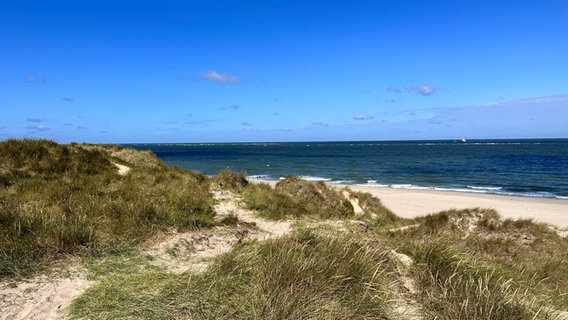 Ein Strand auf Sylt. © NDR Foto: Jörn Zahlmann