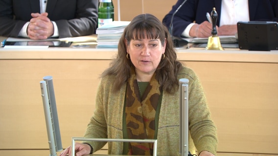 Beate Raudies (SPD) spricht im Kieler Landtag.  