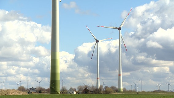 Windkraftanlagen in Friedrichsgabekoog © NDR Foto: NDR