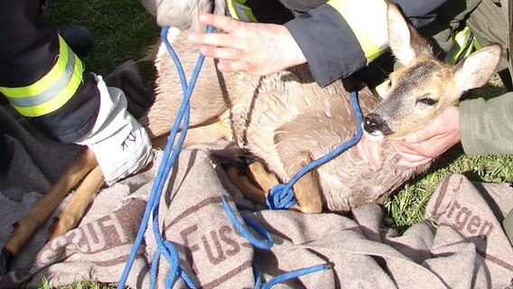 Einsatzkräfte der Feuerwehr retten ein Reh.  