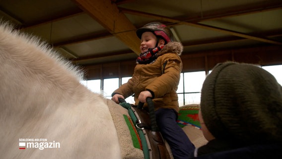 Ein kleiner Junge sitzt auf einem Pferd. © NDR 