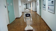 Roboter Pepper steht im Gang des Institus für Technische Informatik © NDR Foto: Hauke von Hallern