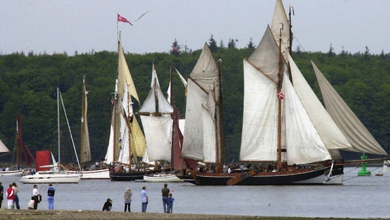 Schaulustige stehen an der Flensburger Förde und bestaunen die alten Segler, die zum Start der Rum-Regatta fahren.  Foto: Horst Pfeiffer