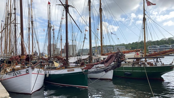 Mehrere Schiffe liegen am Flensburger Hafen.  Foto: Simone Mischke