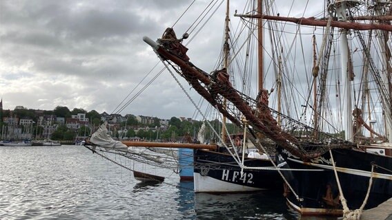 Mehrere Schiffe liegen am Flensburger Hafen.  Foto: Simone Mischke