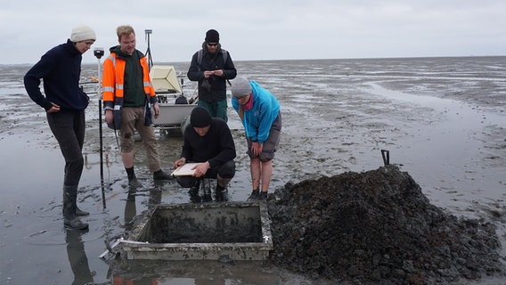 Ein Team von Wissenschaftlern arbeitet an einem Forschungsprojekt im Nordfriesischen Wattenmeer. © uni-kiel.de Foto: Justus Lemm