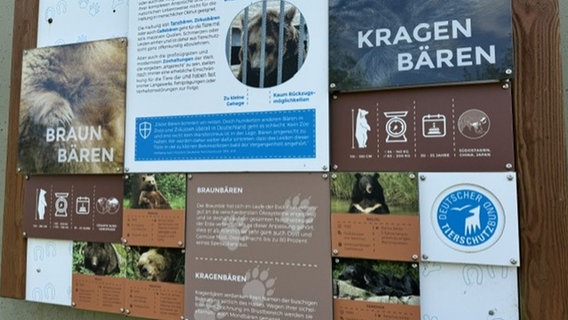 Eine Info-Tafel über Braun- und Kragenbären. © NDR Foto: Isabel Hofmann