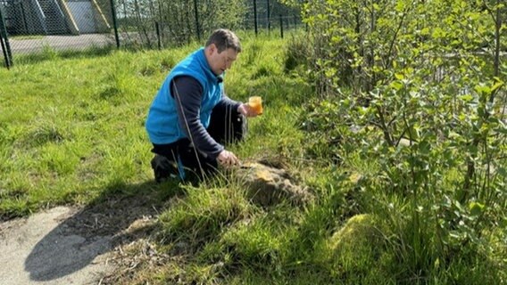 Ein Pfleger platziert Nahrung in einem Tiergehege. © NDR Foto: Isabel Hofmann