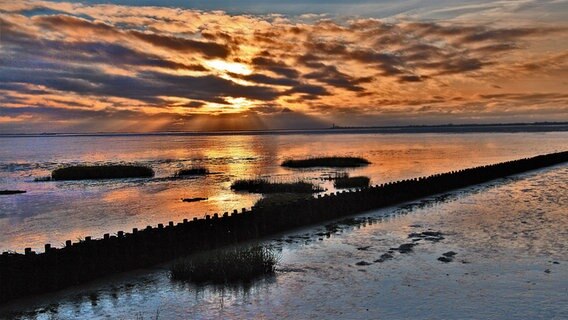 Die Sonne geht am Wattenmeer unter. © Rolf Brückner Foto: Rolf Brückner