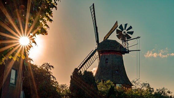 Eine Windmühle in der Abendsonne. © Günter Großkopf Foto: Günter Großkopf