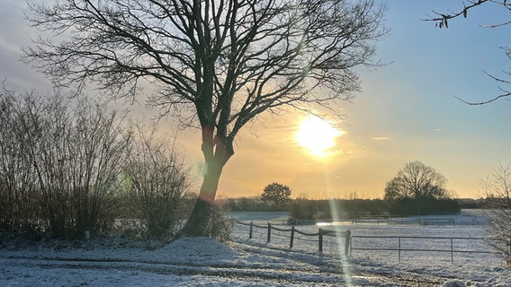 Im Vodergrund steht ein Baum. Hinter einem Zaun liegt eine schneebedeckte Fläche. © Sven Kostrzewa Foto: Sven Kostrzewa