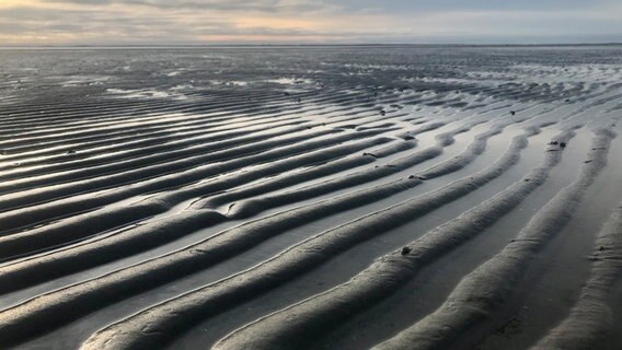 Im Sand des Watts haben sich längliche Formen und Muster gebildet. © Gunter Stammer Foto: Gunter Stammer
