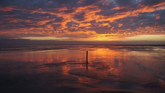 Hinter der Sandbank Westerhever geht die Sonne unter. © Franjo Fuß Foto: Franjo Fuß